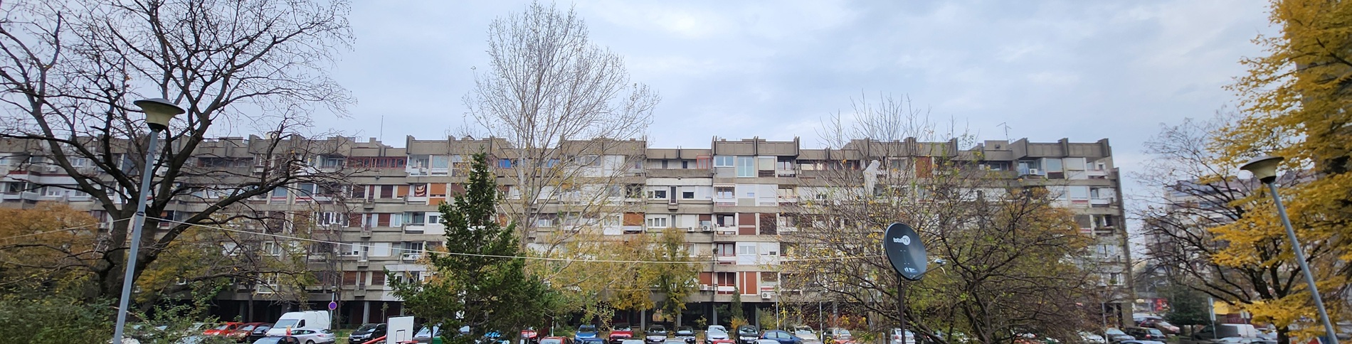 profesionalni upravnik milentija popovica