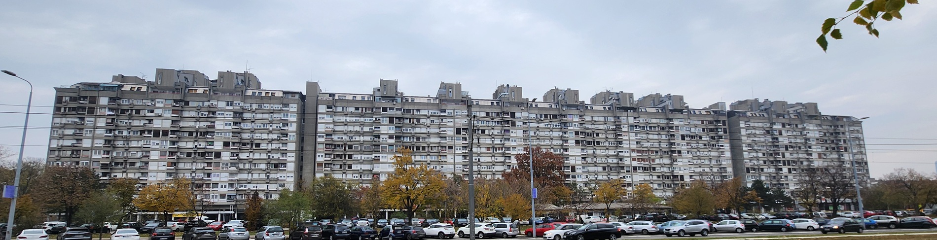 profesionalni upravnik milutina milankovica petica