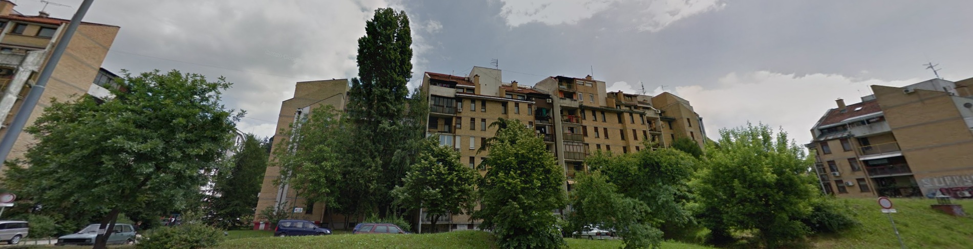 profesionalni upravnik lazarevački drum