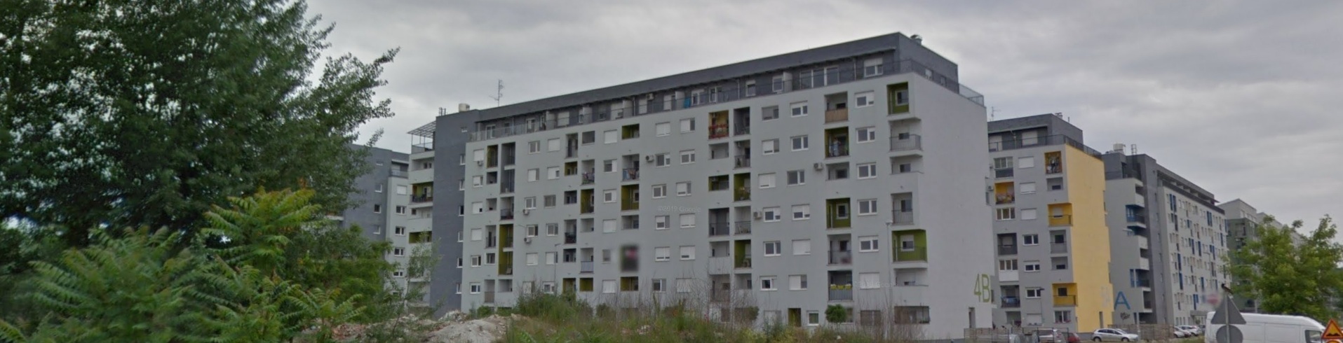 profesionalni upravnik mileve marić ajnštajn 98